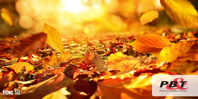 Fall and Winter Home Prep